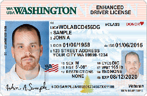 driver license