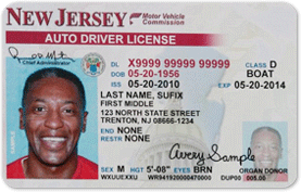 driver license