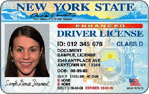 driver license